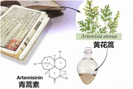 kaiyun开云体育,kaiyun开云体育·(中国)官方网站,：向中医药看齐，与世界共享中医药文化(图1)